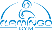 Flamingo Gym Bremen e.V.